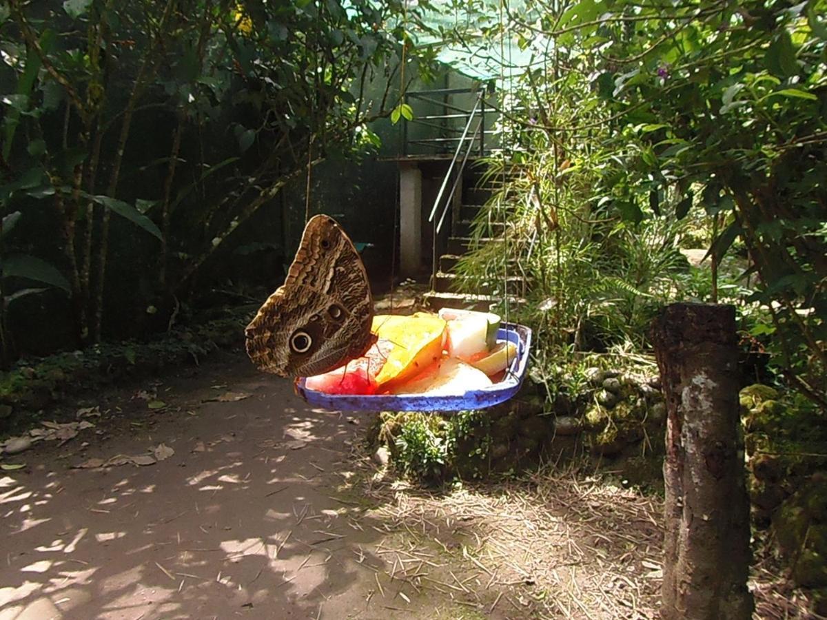 Hostal Pablo'S House Machu Picchu Eksteriør billede