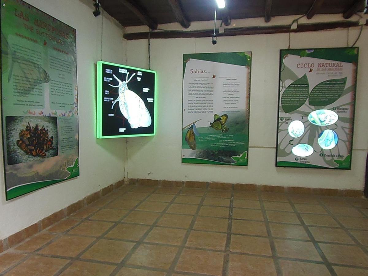 Hostal Pablo'S House Machu Picchu Eksteriør billede