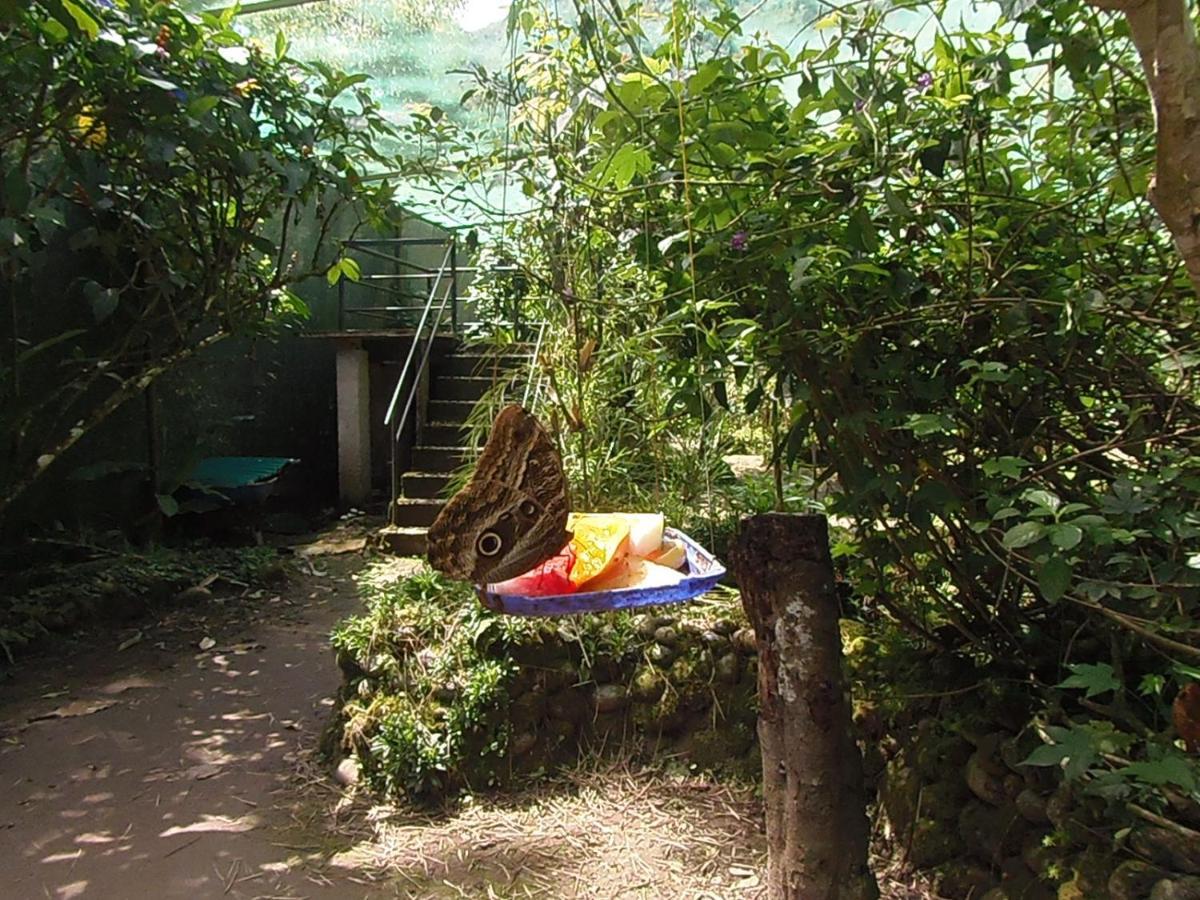 Hostal Pablo'S House Machu Picchu Eksteriør billede